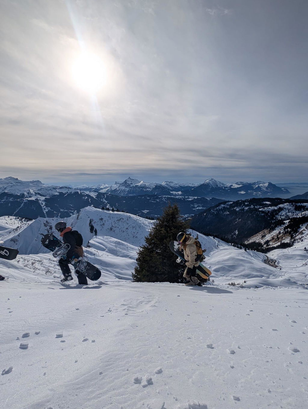 Powderliebe