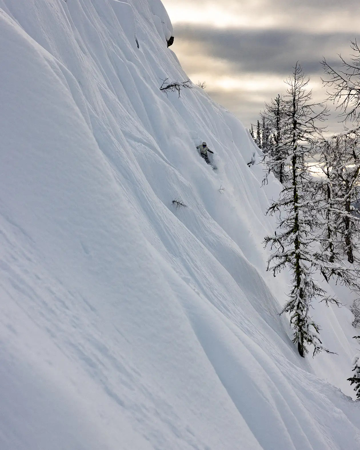 jones-snowboards-dream-weaver-2-0-snowboard-2026-damen-new-shape-all-mountain image 2
